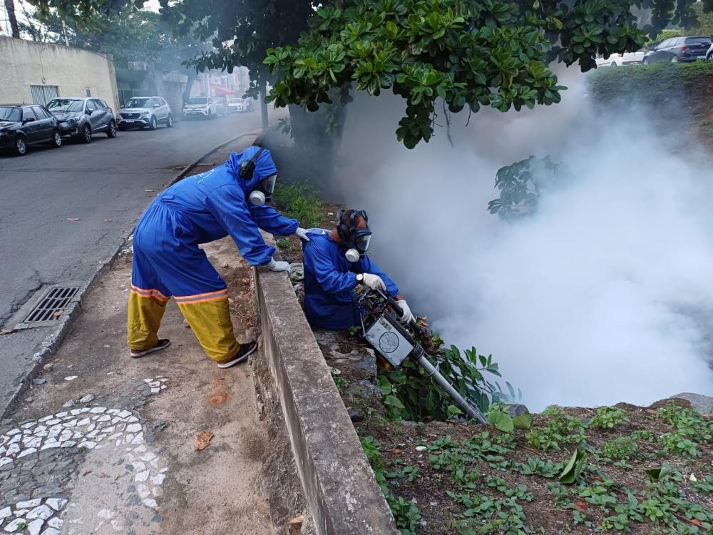 Salvador teve redução de 63% do número de casos de Aedes aegypti