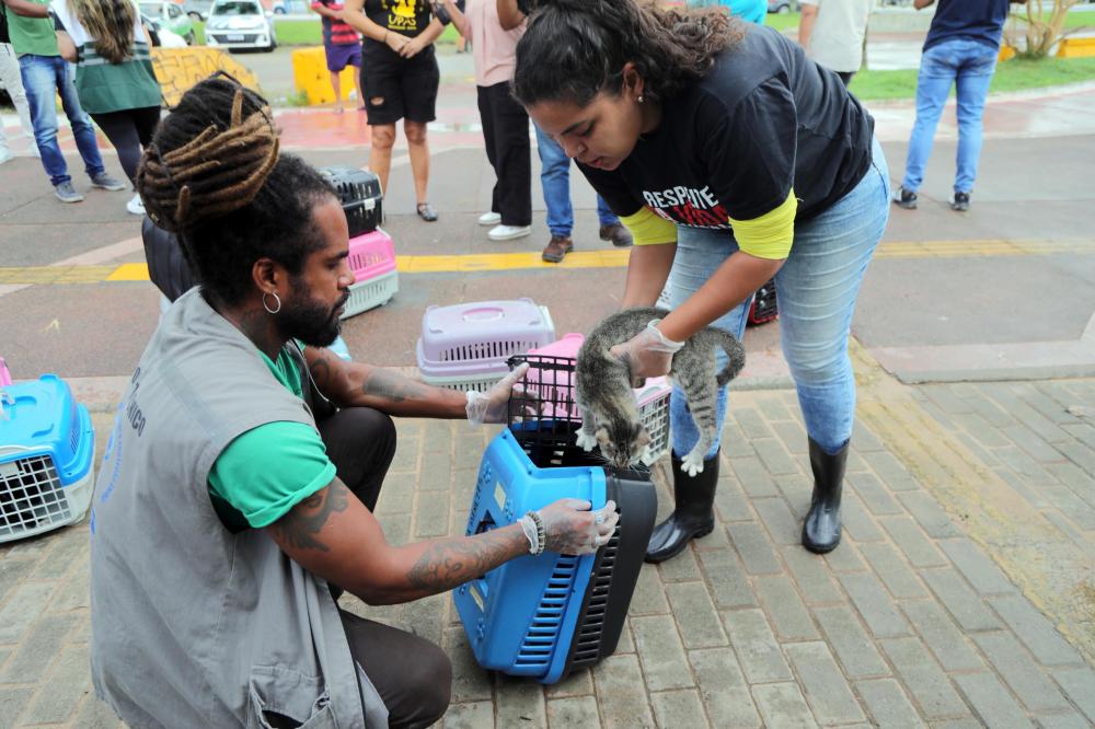 Abril Laranja: Salvador alerta para conscientização e combate aos maus-tratos de animais