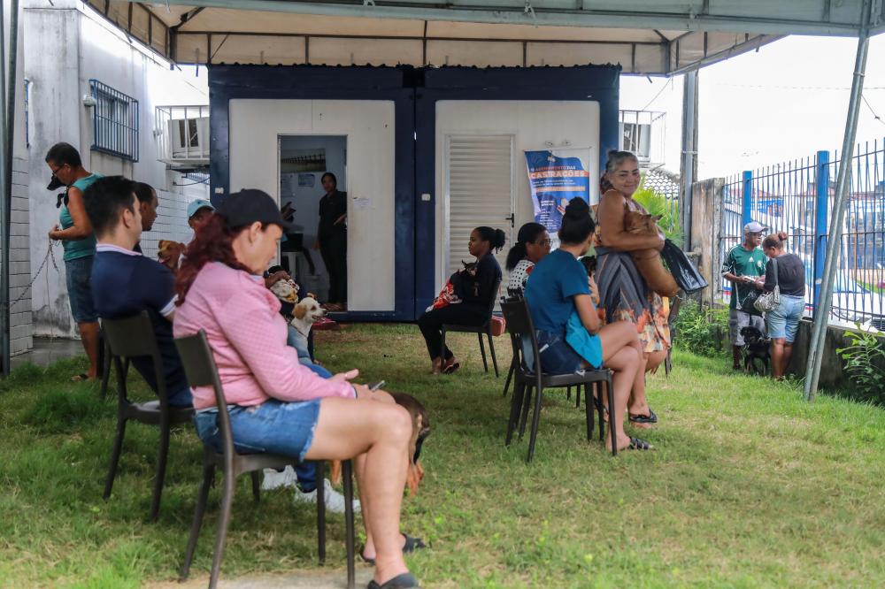 Castramóvel em Pirajá realiza castrações de cães e gatos até 2 de maio