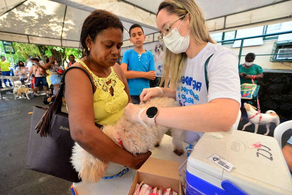 Prefeitura disponibilizará mais 3 mil doses de vacina V10 para cães a partir de quarta (21)