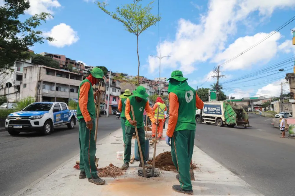 Prefeitura inicia plantio de 50 novas árvores na Avenida Suburbana